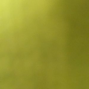 Meet your Posher, Jarrod